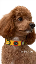 Cargar imagen en el visor de la galería, Brady Double Disc Leather Dog Collar with Nickel Stud Center