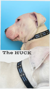 Huck Leather Dog Collar with Double Row Inserts & Double Row Austrian Crystals Product vendor