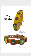 Cargar imagen en el visor de la galería, Brady Double Disc Leather Dog Collar with Nickel Stud Center