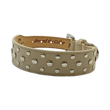 Cargar imagen en el visor de la galería, Bells Stud Cluster Wider Width Dog Collar Product vendor