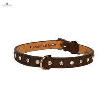 Load image into Gallery viewer, Brie Leather Collar with Single Row Clear Crystals Product vendor