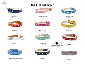 Brie Leather Collar with Single Row Clear Crystals