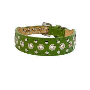 Jaxon Wider Leather Dog Collar w-Eyelet & Stud Nickel Cluster