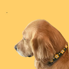 Load image into Gallery viewer, Riley Flower Leather Dog Collar with Austrian Crystals on Flower &amp; Collar