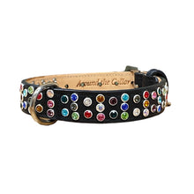 Load image into Gallery viewer, Dixie Cluster Leather Dog Collar w/Med Crystals 3-2 Row Spaced Product vendor