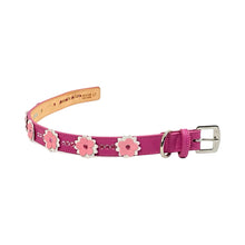 Load image into Gallery viewer, Rumi Flower Leather Dog Collar with 3 Crystals between Flower Product vendor