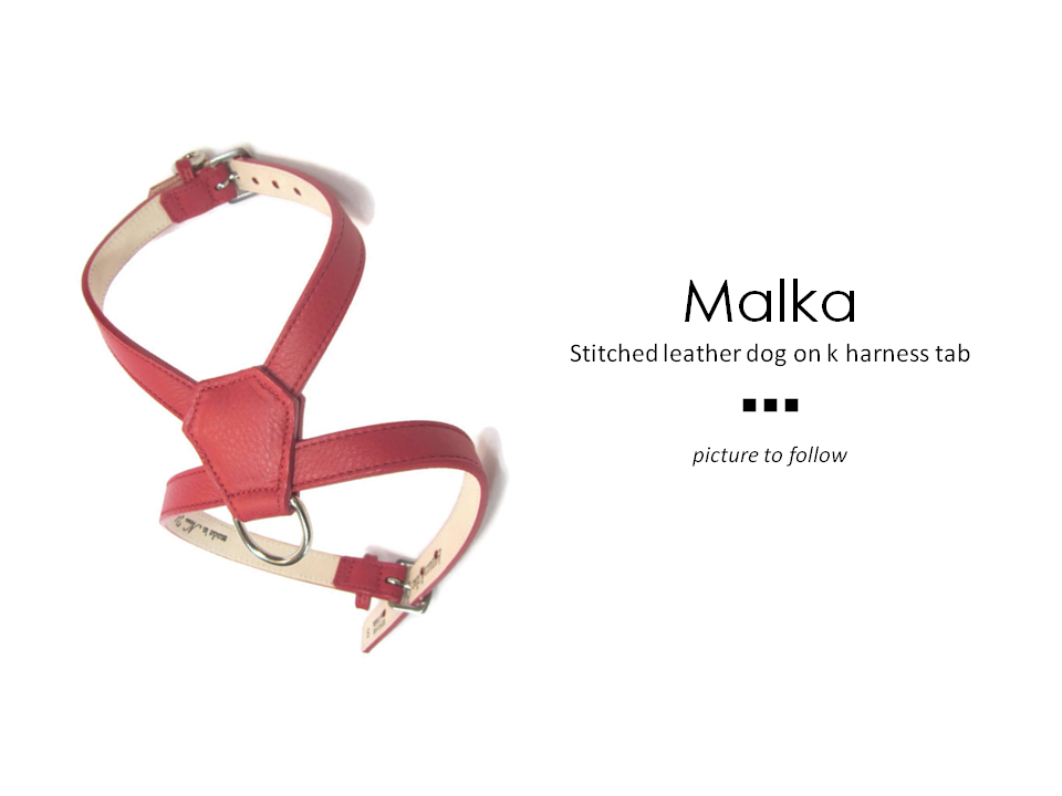 Malka Leather Dog K Harness Product vendor