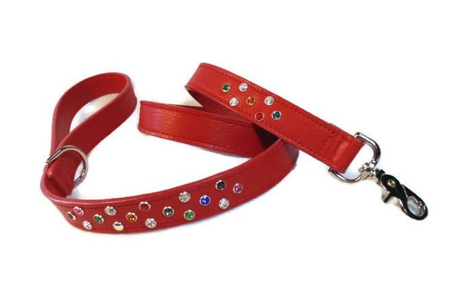 Stacy Rainbow Multi Cluster Swarovski Jeweled  Leather Leash - Around The Collar NY