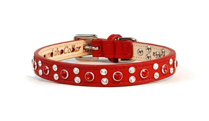 Stella Jewel 2 Tone Cluster Leather Dog Collar - Around The Collar NY